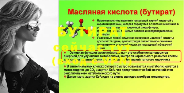 молекула духа Михайлов