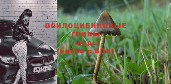 герыч Михайловск
