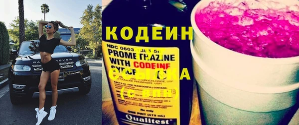 молекула духа Михайлов