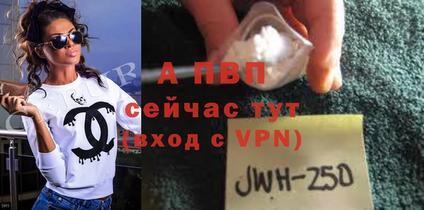 молекула духа Михайлов