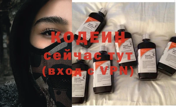 молекула духа Михайлов
