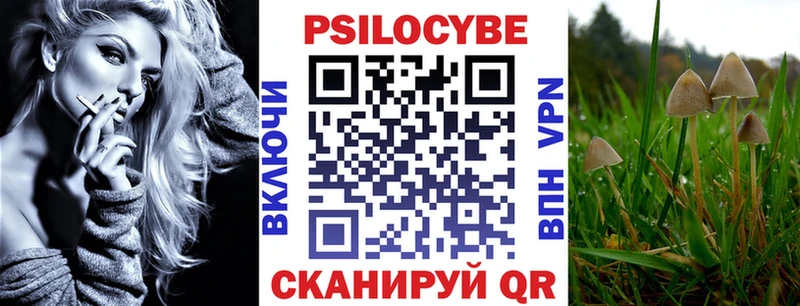 Галлюциногенные грибы Psilocybine cubensis Поронайск